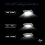 LED Canopy Lights Fixture White housing